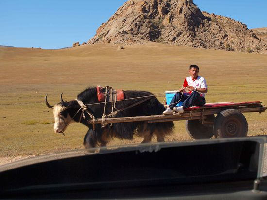 Ein Eiscremeverkäufer