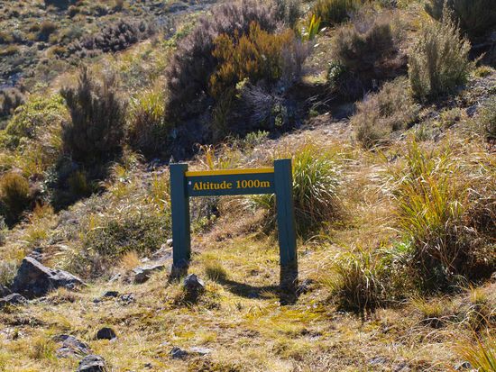 Der Hoehenmesser kann uns kaum folgen...