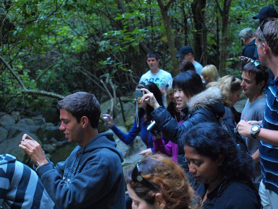Die Insassen des Magicbus sind ganz begeistert von...