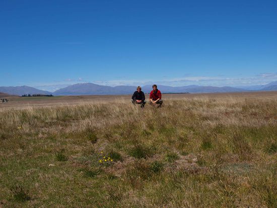 Schon fast wie in der mongolischen Steppe