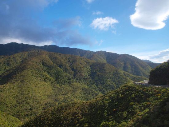 Auf dem Weg nach Napier