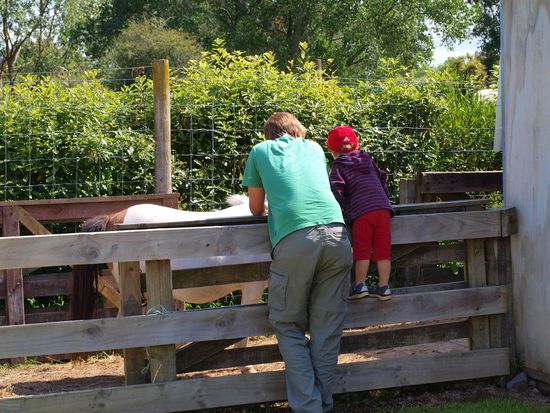 Lukas und Finn, der kleine kletter überall hoch!