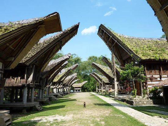 Ein traditionelles Dorf. Diese Haeuser sind wunderschoen und sehen super aus in der Landschaft.