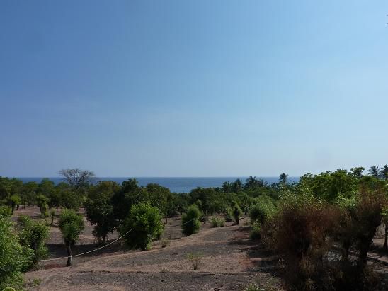 Blick vom Hotel zum Strand