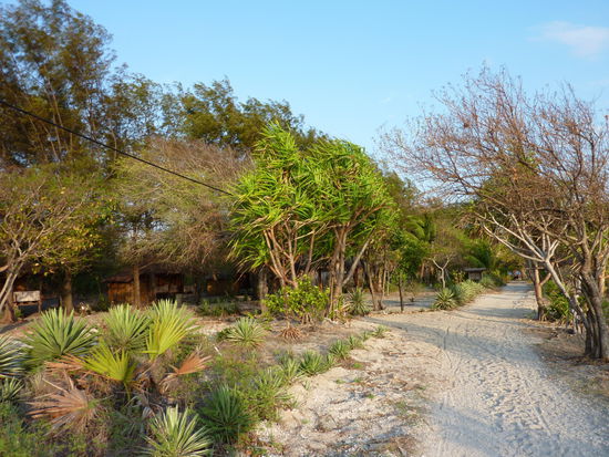 Das sind die Pfade, welche um die Insel fuehren. Keine Strassen. In ca. 50min ist Man oder Frau um die Insel (Gili Air) gelaufen.