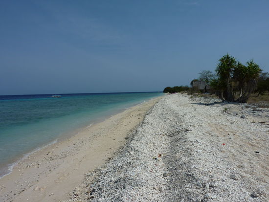 Einer von vielen Superstraenden...