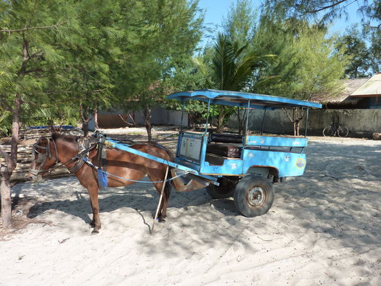 Das gaengigste Transportmittel auf den Gili Inseln.