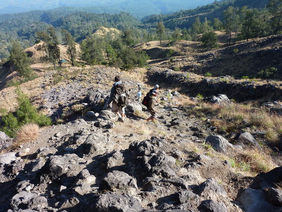 Ueber Stock und Stein wieder runter....