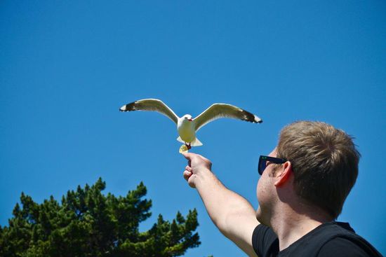 André auf Mövenjagd