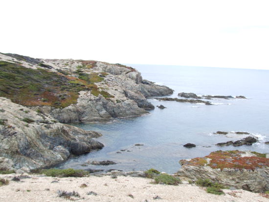 Noch ein paar Insel-Impressionen, wie z.B. die einsamen Buchten...