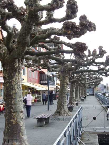 Und die Uferpromenade, wo um diese Zeit noch wenig los ist.