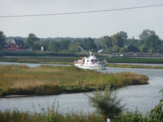 Auf der anderen Seite der Prerow-Strom und die Boddenküste