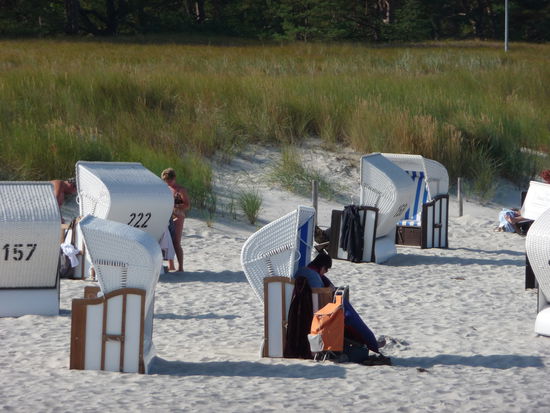 Windgeschützt lässt es sich im Strandkorb gut aushalten