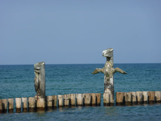 Ostsee im Nationalparkgebiet "Sundische Wiesen"