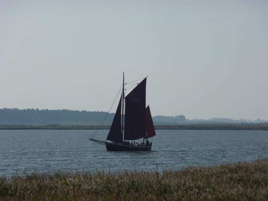 Segler auf dem Bodden