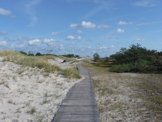 Auf Holzwegen durch das Nationalparkgebiet Darßer Ort