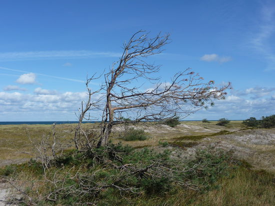 Die Weite und Stille der Landschaft sind hier einfach wunderschön