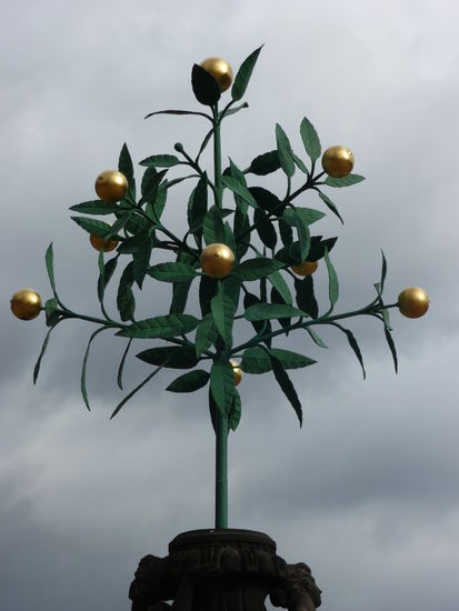 Der "Oranienbaum" auf dem Marktplatz der gleichnamigen Kleinstadt in Sachsen-Anhalt