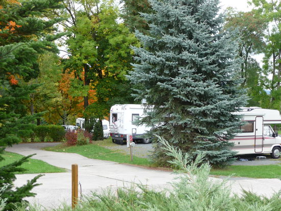 Ansichten vom Campingplatz mit schattigen Bäumen...