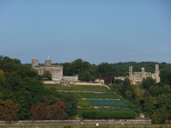 Die Elb-Schlösser an den Hängen über der Elbe in Richtung Loschwitz