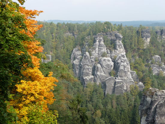 Oben wird man mit prächtiger Aussicht auf die markanten Kletterfelsen des Elbsandsteingebirges belohnt