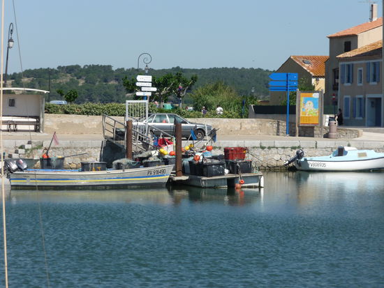 Und hier kommt der frische Fisch direkt vom Kutter