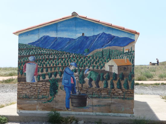 Banyuls - hier wird der likörartige Wein angebaut