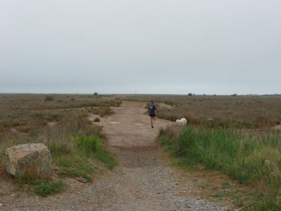 Der Weg durch die Salzwiesen zum langen Sandstrand