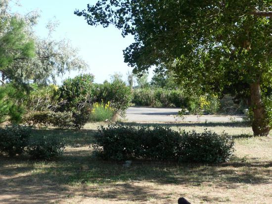 Noch sehr ursprüngliche und naturnahe Atmosphäre auf dem Campingplatz