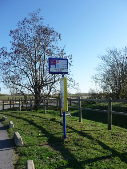 Ein Bus wird kommen.....