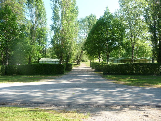 Noch bald in der Saison gibt's hier im französischen Jura jede Menge freier Campingplätze unter schattigen Bäumen