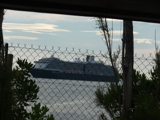 Beim morgendlichen Blick aus dem Fenster lag ein dickes Kreuzfahrtschiff in der Bucht vor Anker