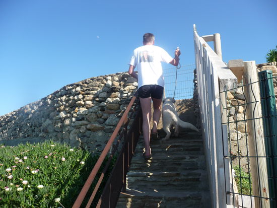 Treppauf und treppab geht's auf dem Küstenwanderweg