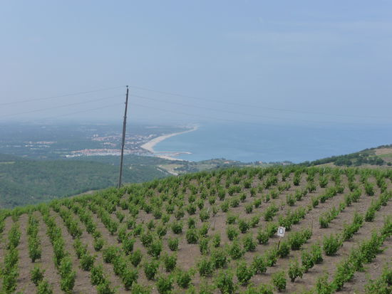 Über die Weinterrassen geht's hinauf auf 700 Meter Höhe zum Tour de Madeloc