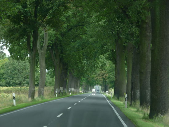 Alleenstraßen gab's all überall. Diese führte uns nach Waren an der Müritz