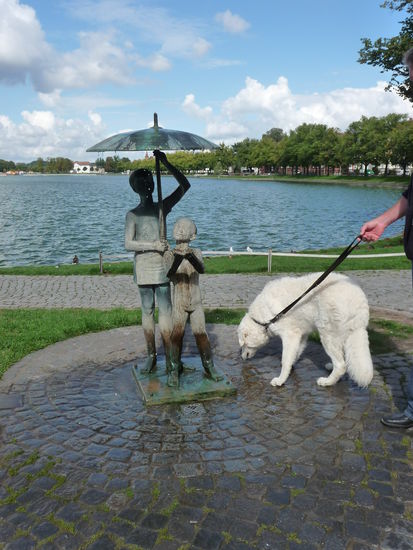 Unser Vierbeiner löscht seinen Durst am Pfaffenteich