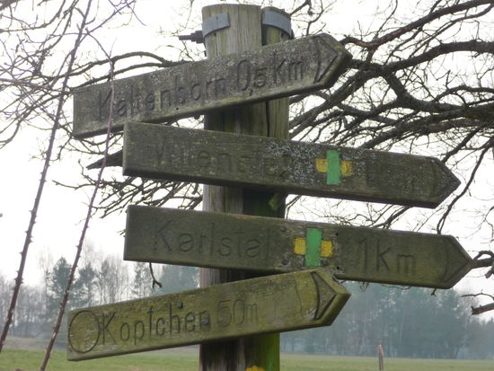 Viele Wanderwege führen durch den Pfälzer Wald