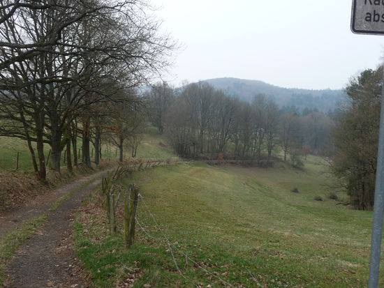 Noch ist die Natur eher wintergrau, doch die milden Temperaturen lassen den nahen Frühling ahnen.