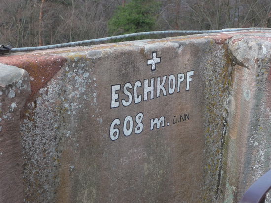 Hier oben hat man eine wunderbare Aussicht über den Pfälzerwald