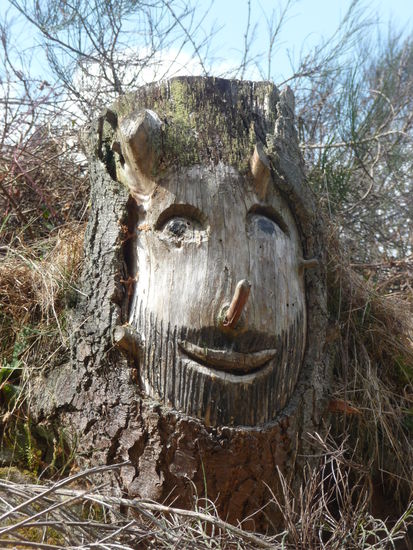 Ob das wohl einer der sagenumwobenen Elwetritsche ist?