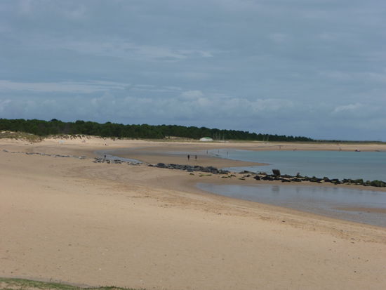 Der Sandstrand von Boyardville