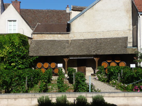 Dem Wein begegnet man hier wirklich auf Schritt und Tritt