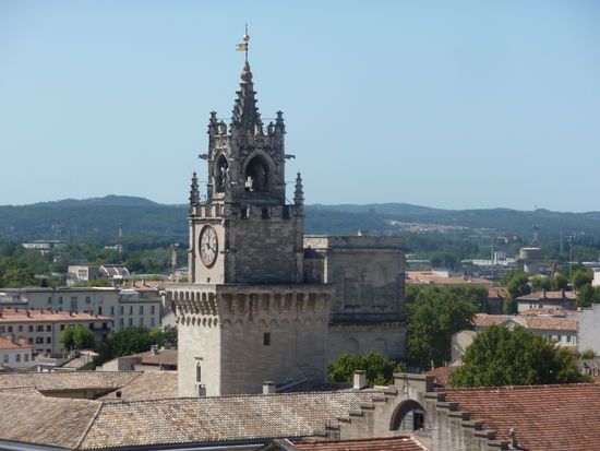 Blick vom Dach des Papstpalastes auf Avignon