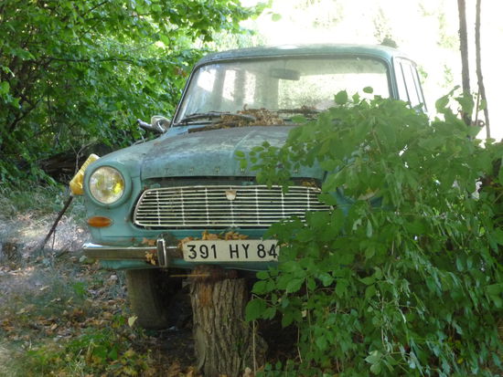 Verborgene "Schätze" am Wegesrand