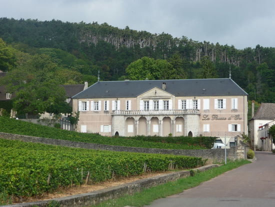 Herrschaftliche Châteaus säumen die Route des Grands Crus im Burgund