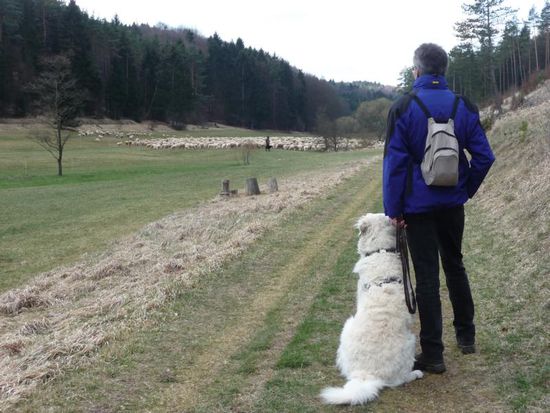 Was kommt da auf uns zu?