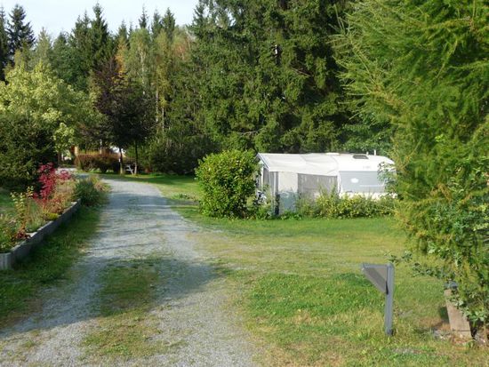 Trotz Hochsaison noch jede Menge freier und ruhiger Plätze im schattigen Wald