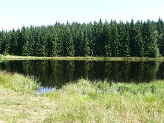 "In the middle of nowhere" ein einem tiefdunklen Moorweiher