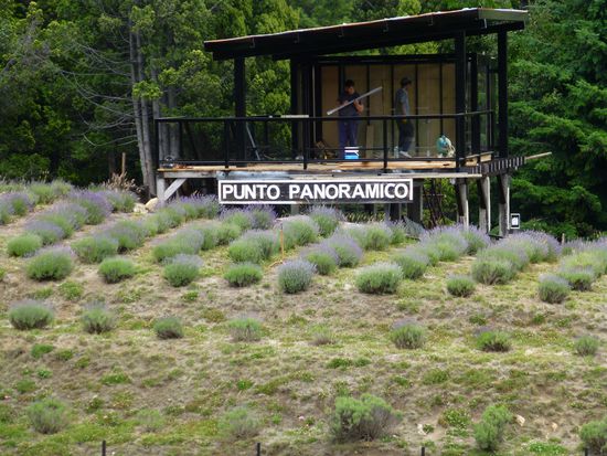 Da lacht das Herz des Frankreich-Fans 
Eine Lavendelfarm am Wegesrand