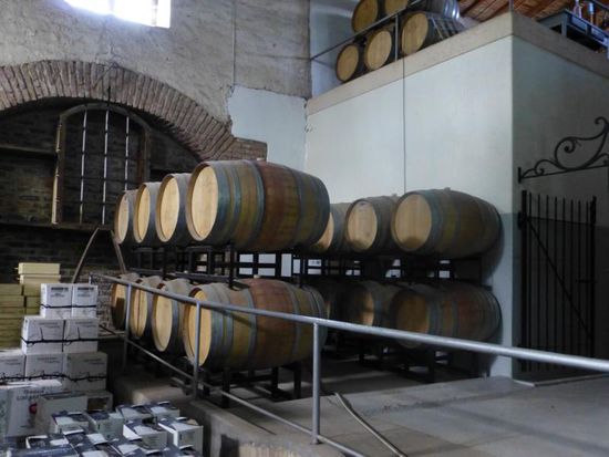 1. Bodega beim Öko-Winzer